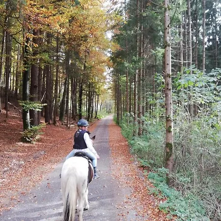 Apartment Am Ponyhof Sankt Kanzian am Klopeiner See Zewnętrze zdjęcie