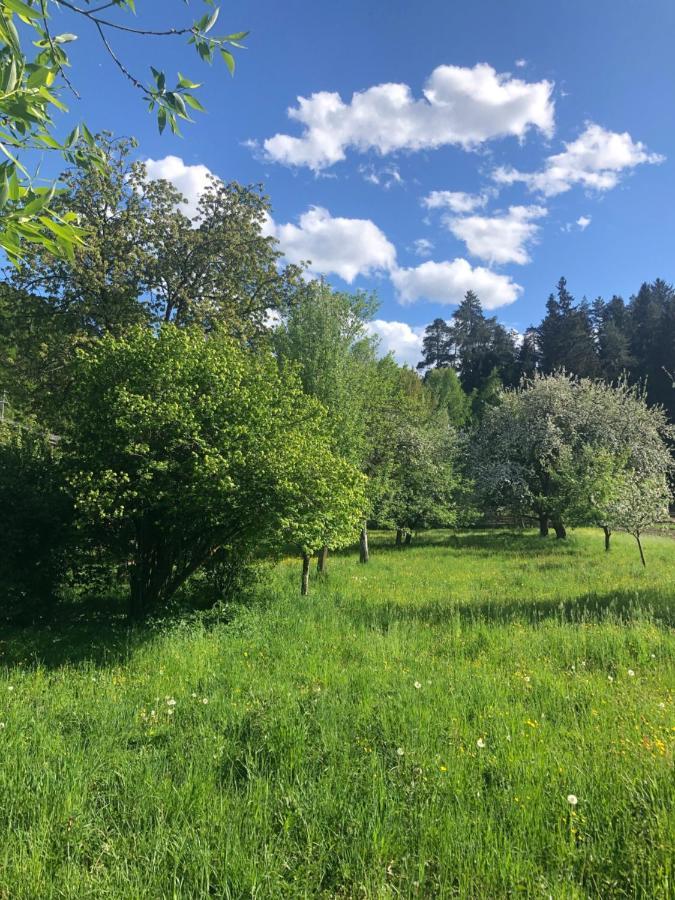 Am Ponyhof *