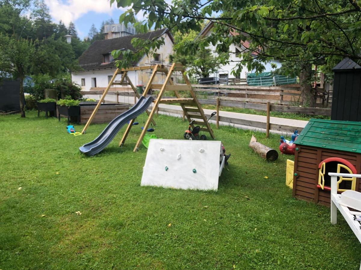 Am Ponyhof